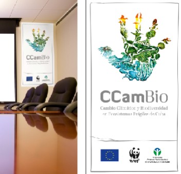 Comunicación Institucional.